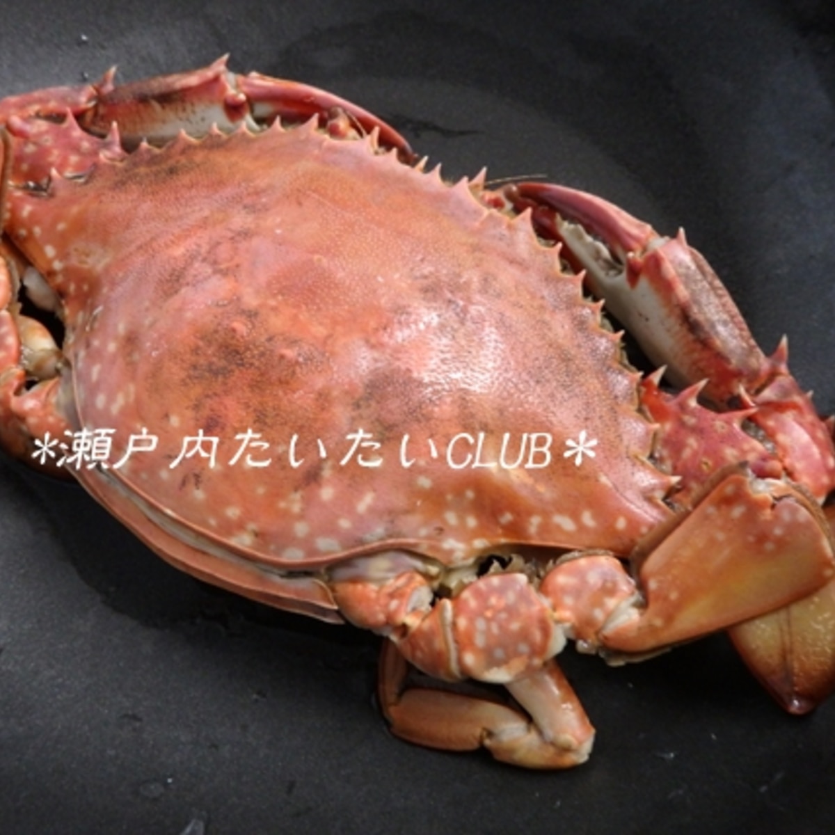 ワタリガニのゆで方と捌き方 レシピ 作り方 By 瀬戸内たいたいclub 楽天レシピ ワタリガニのゆで方と捌き方 レシピ 作り方 By 瀬戸内たいたいclub 楽天レシピ